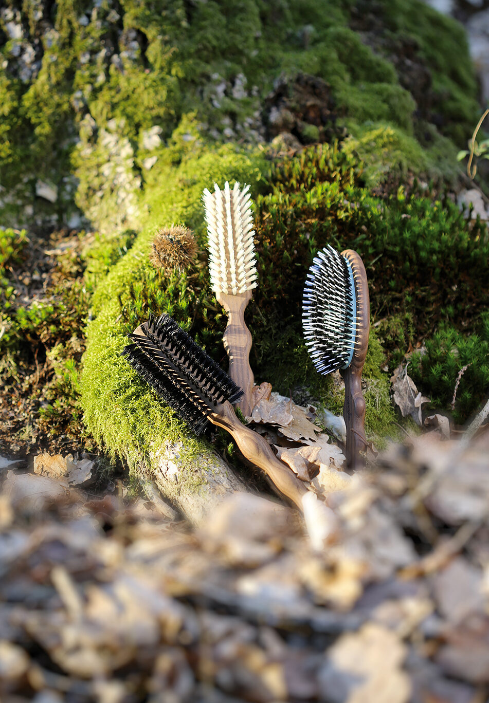 3 brosses SD_L1718